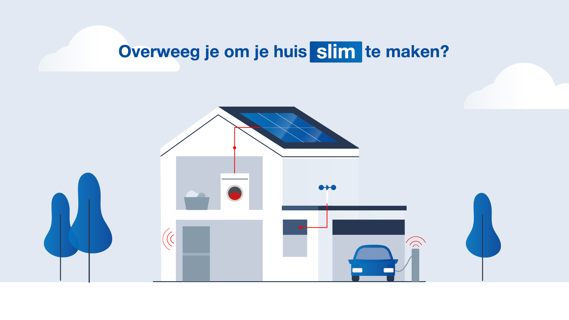 MAIN Electrowold (0 00 02 19)